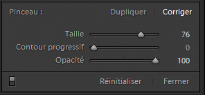 L'outil de suppression des défauts dans Lightroom