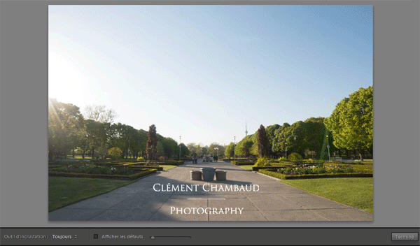 L'outil de suppression des défauts dans Lightroom