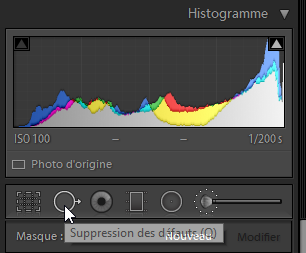 L'outil de suppression des défauts dans Lightroom