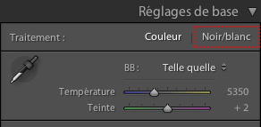Conversion d'une photo en noir et blanc dans Lightroom