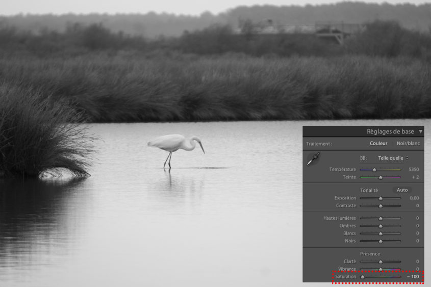 Conversion d'une photo en noir et blanc dans Lightroom