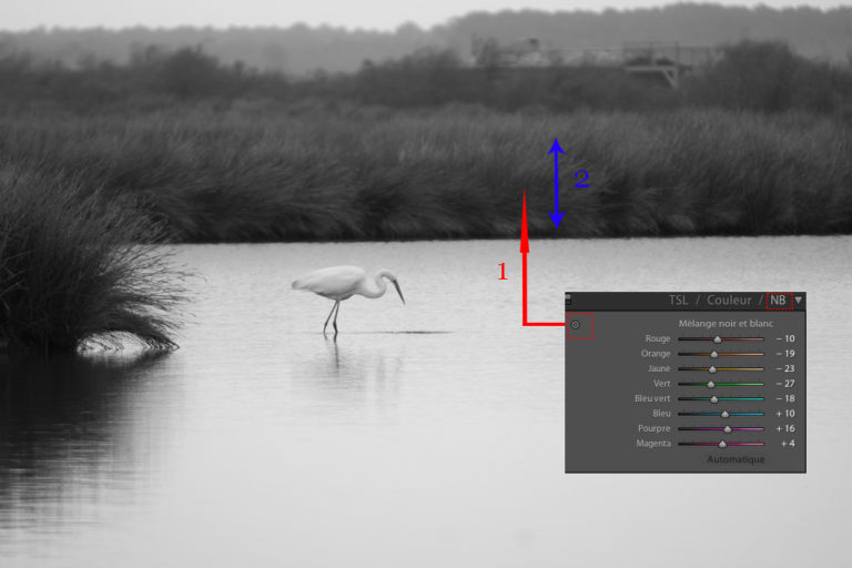 Conversion d'une photo en noir et blanc dans Lightroom