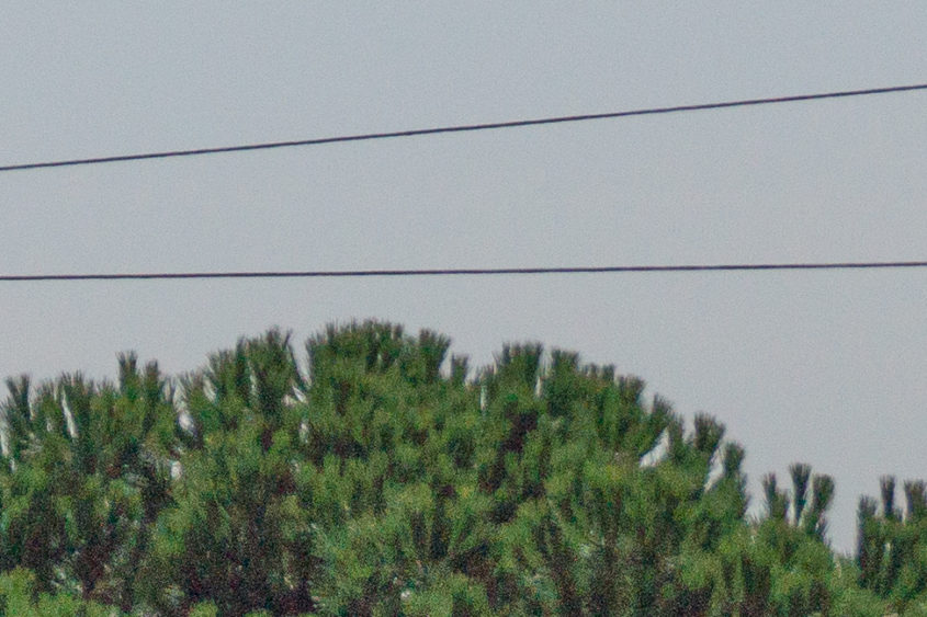 Le crop 100 % du format RAW