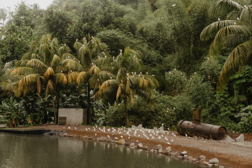 Distillerie JM, Martinique