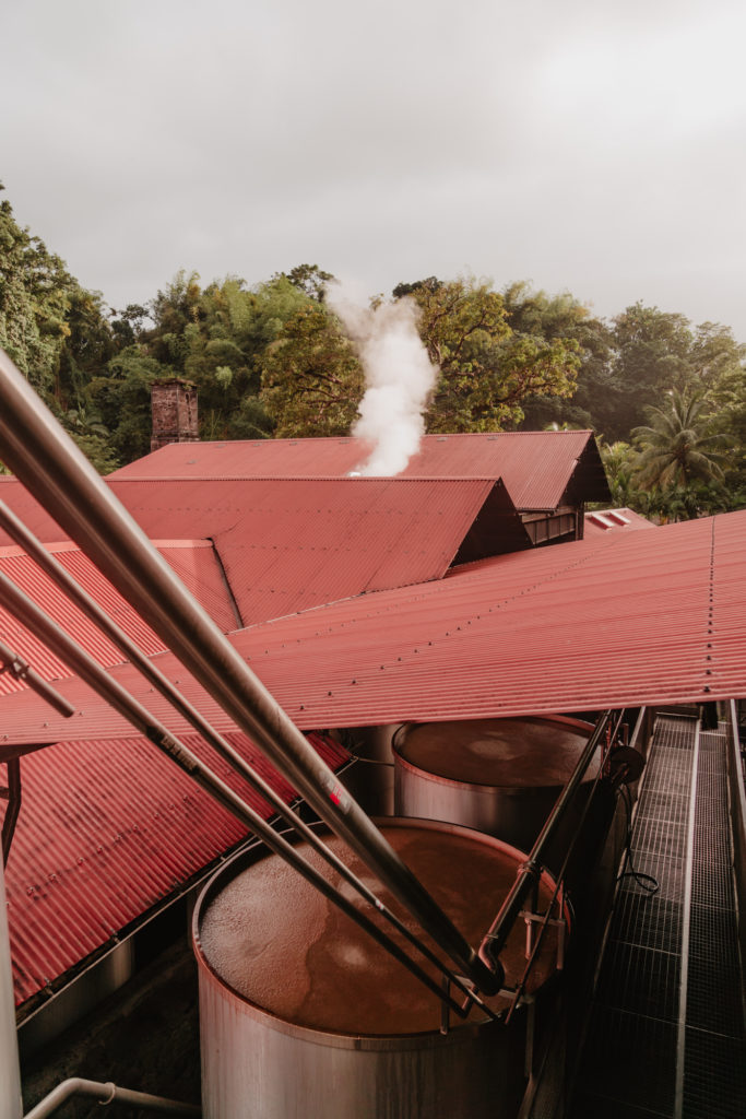 Distillerie JM, Martinique