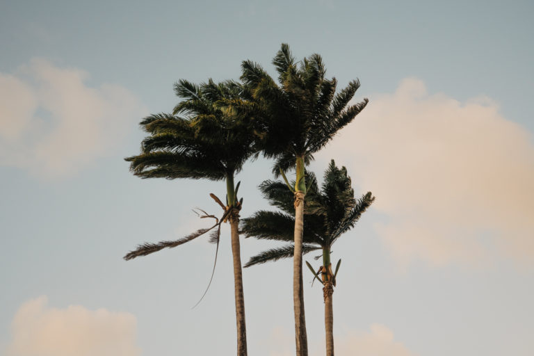 Pointe du bout, Martinique