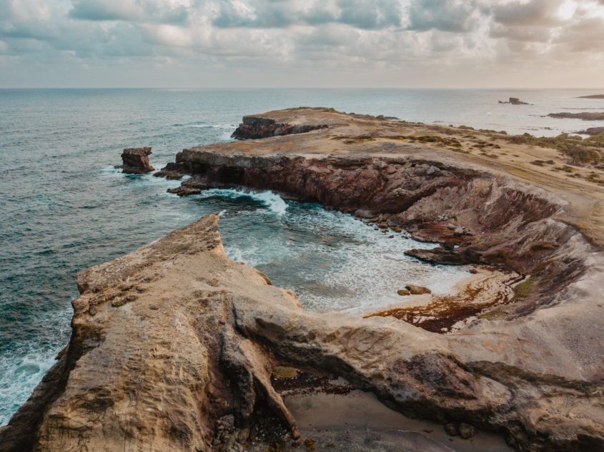 Savane des pétrifications, Martinique