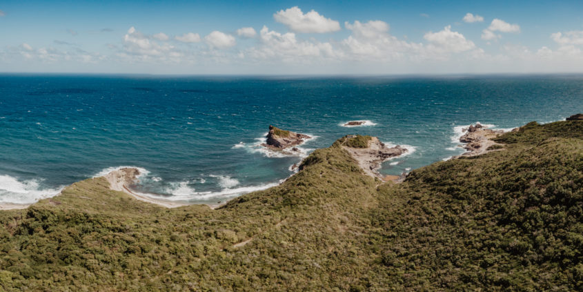 Presqu'ile de la Caravelle, Martinique