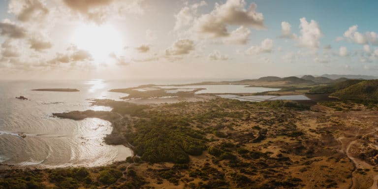 Savane des pétrifications, Martinique