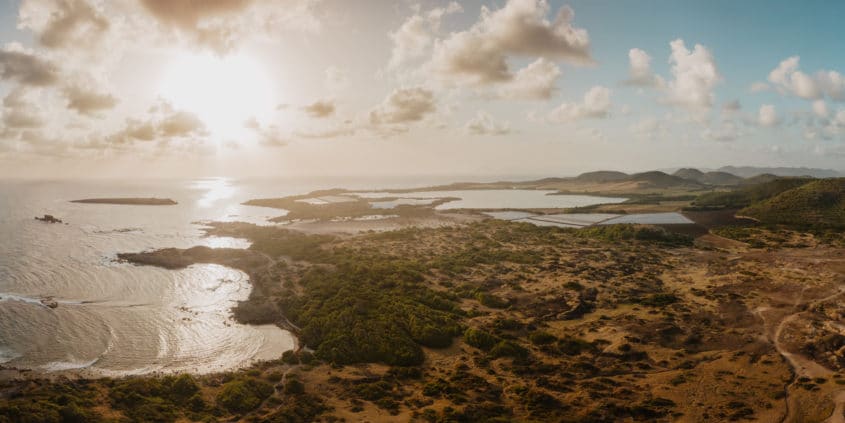 Savane des pétrifications, Martinique