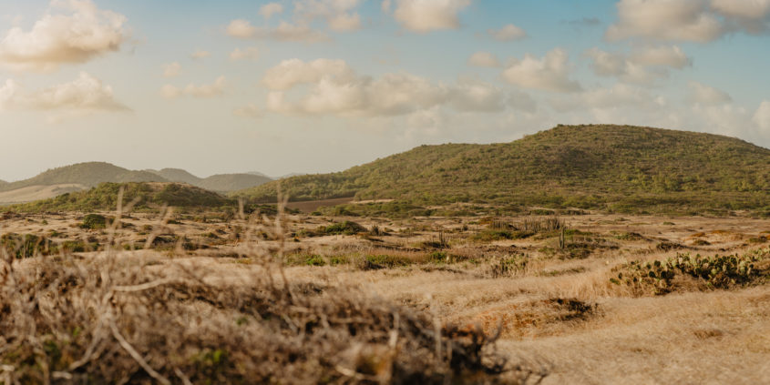 Savane des pétrifications, Martinique