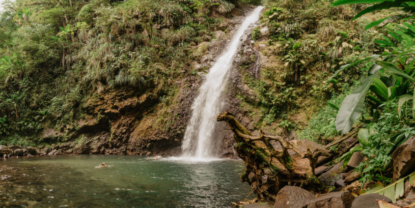 Cascade Didier, Martinique