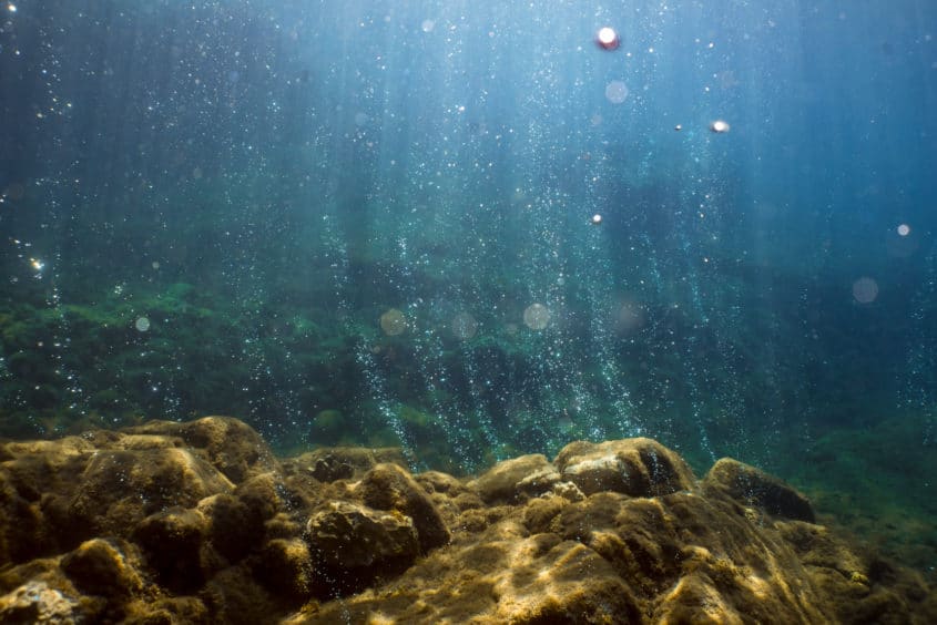 Champagne reef, Pointe Michel, Dominique