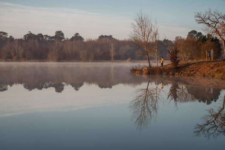 Medoc plein sud hiver-03048-30