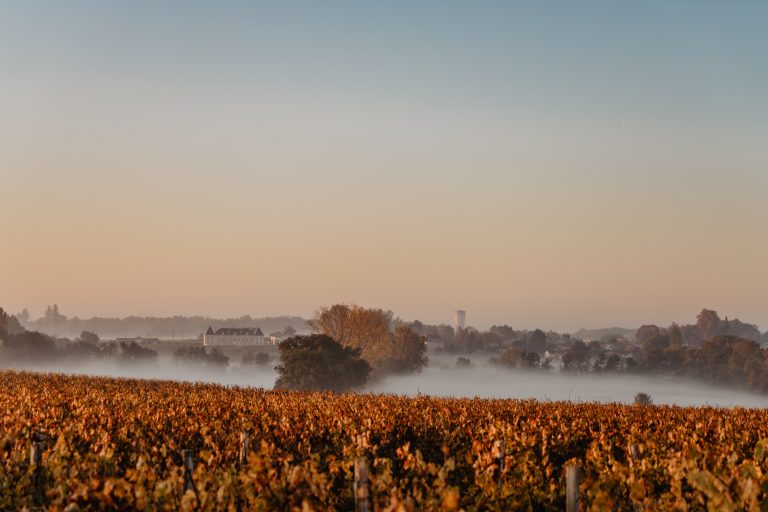 automne plein sud-08927-25